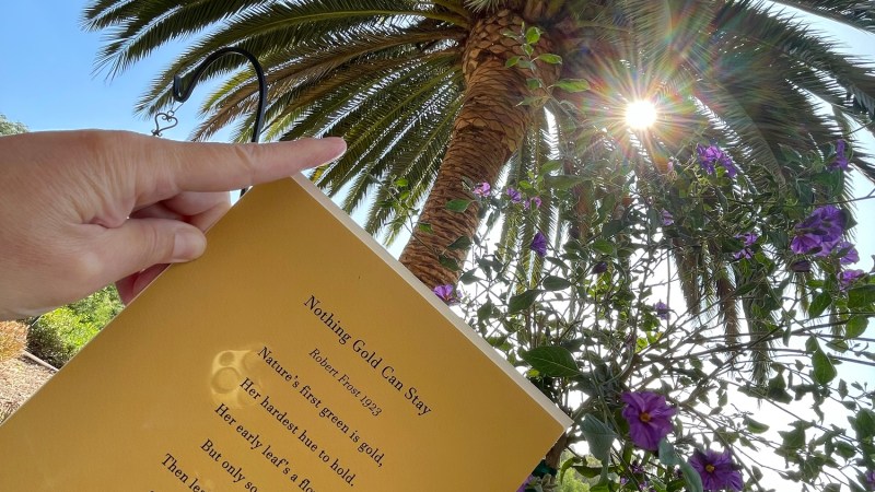 The Tree of Life… explained! The Tree of Life… explained!